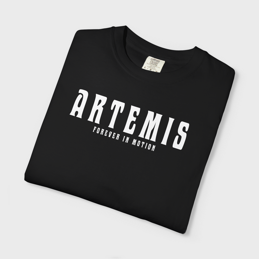 ARTEMIS 2 - Artemis HeavyWeight Fit