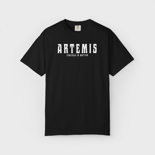 Dont Sleep - Artemis HeavyWeight Fit