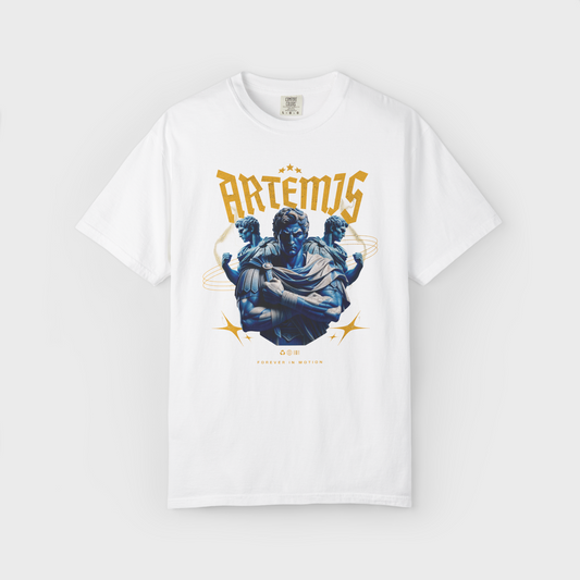 District 19 - Artemis HeavyWeight Fit