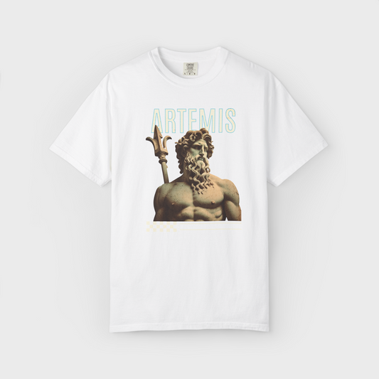 Anti Ordinary - Artemis HeavyWeight Fit