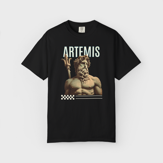 Anti Ordinary - Artemis HeavyWeight Fit